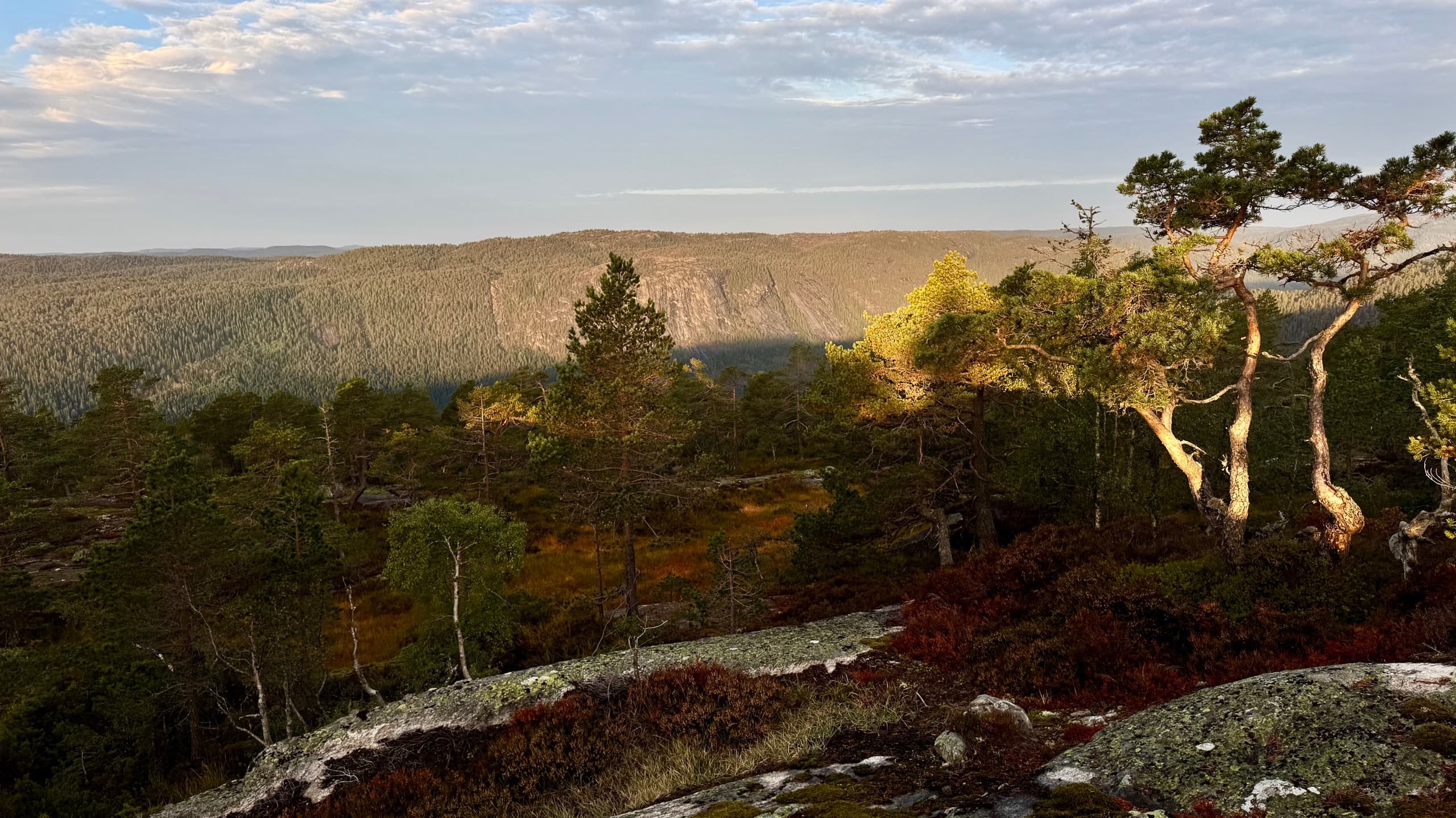 Utsikt over dalen fra Valfjell i kveldssol