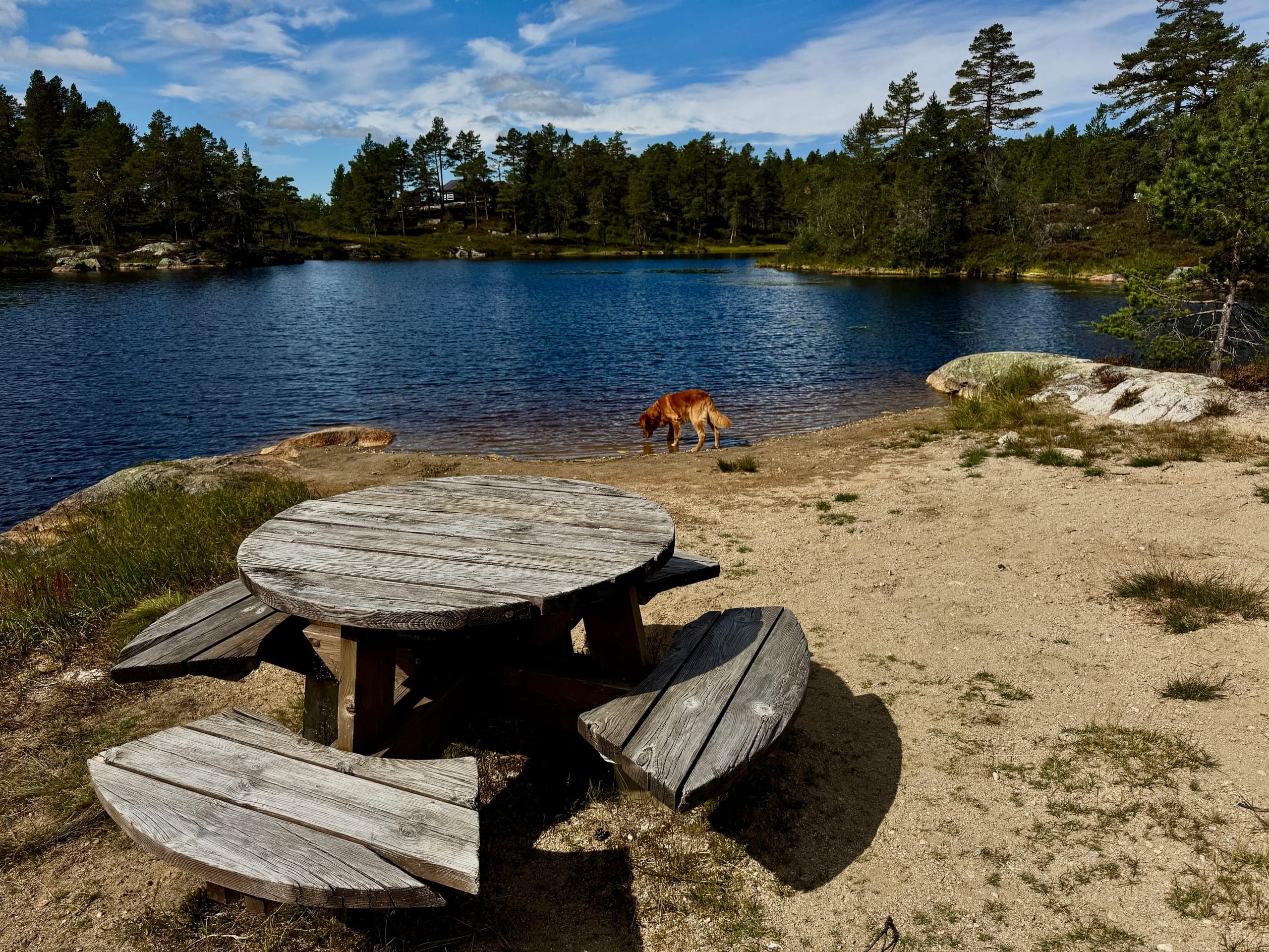 Badestrand am See nahe Lindeview